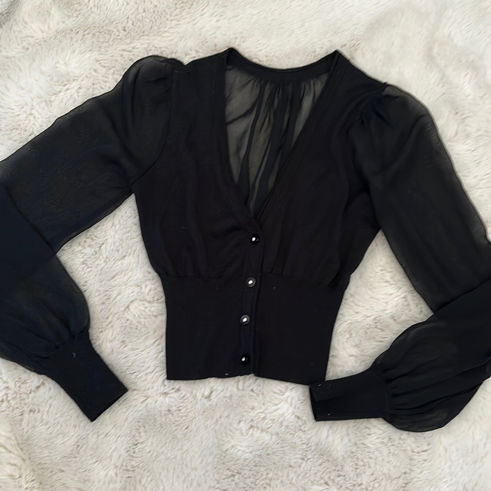 Sheer long sleeve top/ sweater